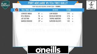 Port Adelaide v Tea Tree Gully [upl. by Nairod431]