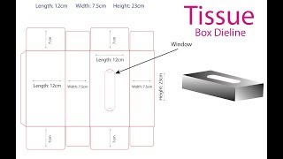 Tissue Box Dieline  Professional Skills for Designers [upl. by Frohne625]