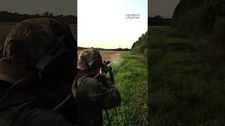 Two Friends on Roebuck hunt hunting deer roebuck deerhunting [upl. by Lamok]