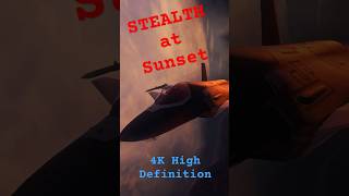 STEALTH at Sunset 4k shorts stealth aviation military technology edit [upl. by Merat588]