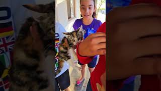 Parte 2 😺 RESCATE un GATITO de la CALLE adopta gatitos cute shorts viral funny rescateanimal [upl. by Llevel]