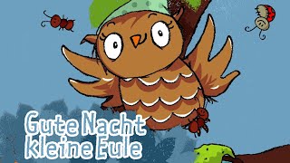 Gute Nacht kleine Eule  Kinderlieder  die kleine Eule amp ihre Freunde [upl. by Garland]