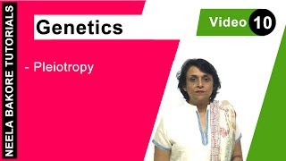 Genetics  Principles of Inheritance amp Variations  Pleiotropy  NEET  Neela Bakore Tutorials [upl. by Hermon570]