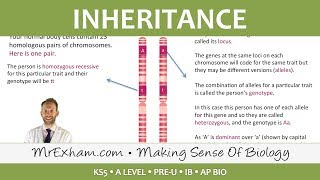 Inheritance Pt1  Monohybrid Cross  Post 16 Biology A Level PreU IB AP Bio [upl. by Ataner]