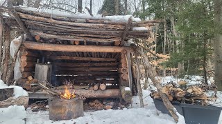 Winter Camping at the Bushcraft Shelter [upl. by Burtis411]