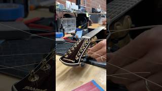 Packing an Echo 12String Guitar— Satisfying Edition [upl. by Llemij]