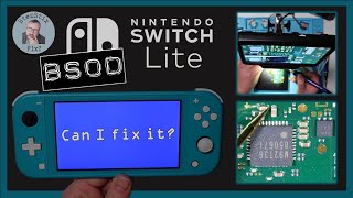 Switch Lite with BLUE SCREEN OF DEATH  Can I FIX It [upl. by Hammel557]