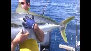 3652kg MONSTER Yellowtail Kingfish in Tairua New Zealand on EPIC ADVENTURES [upl. by Normy60]