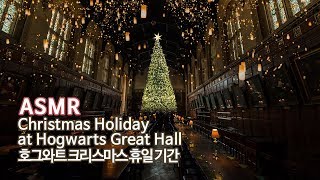 ASMR Harry Potter●호그와트의 크리스마스 휴일 기간 그레이트 홀 입체음향  구독자 30만 기념  Christmas at Hogwarts [upl. by Trutko]