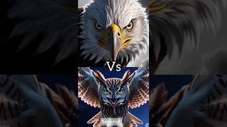 Eagle VS falcon Hawk vs Owl vs Vulture vs Osprey [upl. by Salter]