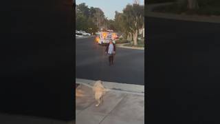 Mailwoman Walks Across Street To Reward Lab Patiently Waiting dog doglovers labradorretriever [upl. by Ailisab914]