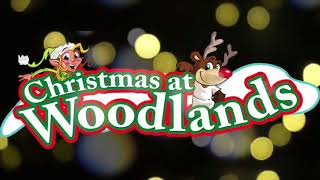 Christmas at Woodlands Family Theme Park Devon [upl. by Lepper]