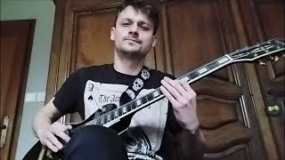 Rammstein  Moskau  Guitar Cover [upl. by Dnumsed279]