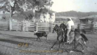 RODEO CALF ROPING AUBURN CA SEMAS RANCH 1960S [upl. by Eelatsyrc750]