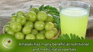 Amalaki has many beneficaial nutritional and Medicinal properties [upl. by Airakaz]