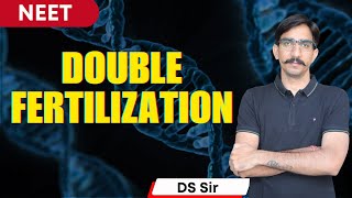 Double fertilization I Reproduction in Flowering Plants I By DS Sir [upl. by Gnurt]