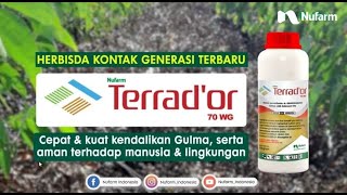 Terrador 70 WG Herbisida Kontak Generasi Terbaru [upl. by Rabush]