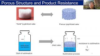 Sensitivity of Lyophilization Rate and Porous Structure to Small Changes in Freezing [upl. by Eduard758]