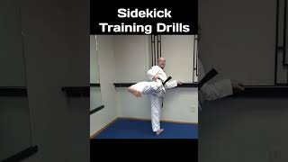 Taekwondo Sidekick Training Drills [upl. by Leler926]