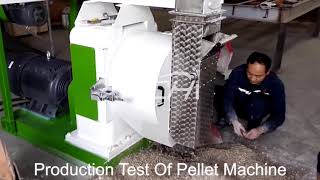 How Does the Bentonite Cat Litter Pellet Machine Make Pellets [upl. by Rede353]