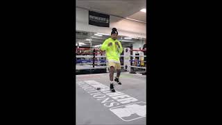 Gervonta quottankquot Davis déplacement en boxe anglaise [upl. by Robb675]