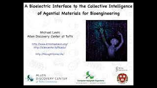 A Bioelectric Interface to the Collective Intelligence of Agential Materials for Bioengineering [upl. by Kunin764]