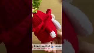 Crochet Christmas Gnomes R29 [upl. by Naz]