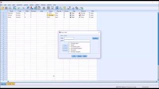 Levels of Measurement in SPSS Nominal Ordinal amp Scale [upl. by Fernandina]