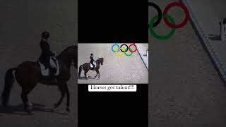 Olympic Horse Walking [upl. by Alikat]