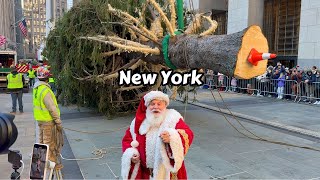 NYC Rockefeller Center Christmas Tree 2024 Installation Video 🎄 New York City 🎅🏼 [upl. by Esilana]