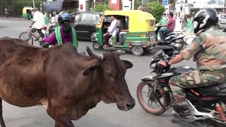 CRAZY INCREDIBLE INDIAN TRAFFIC [upl. by Sakul]