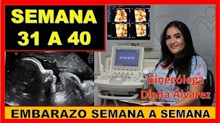 SEMANA 40 Y 41 DE EMBARAZO ¿POR QUÉ NO NACE POR GINECOLOGA DIANA ALVAREZ [upl. by Aiehtela]