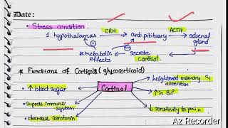 Cortical Hormones  Aldosterone  cortison  hyper and hypoaldosteronism [upl. by Vivyanne]