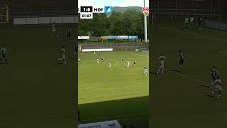 VfB Aufstieg in der Zusammenfassung  Highlight der Woche 34 Spieltag [upl. by Nnodnarb]