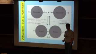 Hydrolysis Dehydration Synthesis and Condensation Reactions [upl. by Iliam]