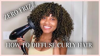 How To Diffuse Natural Curly Hair  NO FRIZZ  Tips amp Tricks [upl. by Photina]