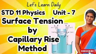 Surface Tension by Capillary Rise Method  Std 11 Unit 7  letslearndaily class11physics [upl. by Hajin77]