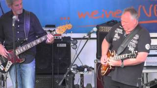 Blues Docs  Sulzbacher Musiksommer 2015  Red House [upl. by Ednew790]