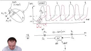 Chronotropic Effect Part 33 [upl. by Cicely323]