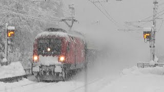 Schneefall❄❄❄extrem in Vorarlberg am Bahnhaltepunkt Feldkirch Amberg🐦 Rabe behält die Übersicht [upl. by Aymik]