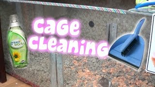 Cleaning Petries Cage TIME LAPSE [upl. by Frederique199]