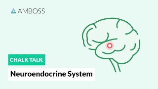 The Neuroendocrine System Regulatory Processes [upl. by Cain528]