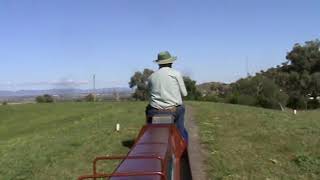 Tamworth Miniature Railway [upl. by Uyerta]