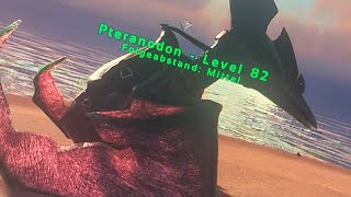 Der Ptranodon ist da wir werden Rum fliegen 13 Ark LP Deutsch [upl. by Boland]