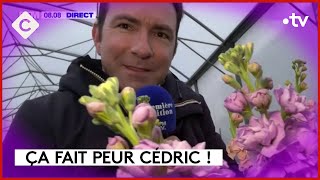 Et surtout bonne SaintValentin   L’ABC  C à Vous  14022024 [upl. by Nref]