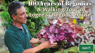 100 Years of Begonias A Tour of Logees Famous quotBegonia Housequot [upl. by Adley808]