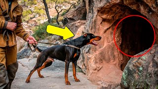 Hund Bellt Starren auf Höhle Besitzer Wurde Bleich Als Er Herausfand Was Es War [upl. by Odnarb706]