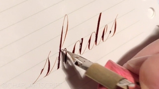 Satisfying Calligraphy Compilation by Charlart Script  Wait for the END [upl. by Ilat]