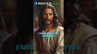 Venid a mí mateo 11 28 30 youtube video viralvideo dios jesus biblia fe [upl. by Mahgem]