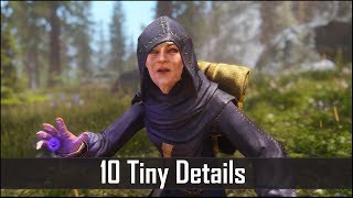 Skyrim Yet Another 10 Tiny Details That You May Still Have Missed in The Elder Scrolls 5 Part 30 [upl. by Anyah]